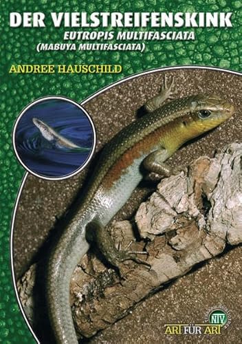 Imagen de archivo de Der Vielstreifenskink: Eutropis Multifasciata (Mabuya Multifasciata). Art fr Art a la venta por Books Unplugged