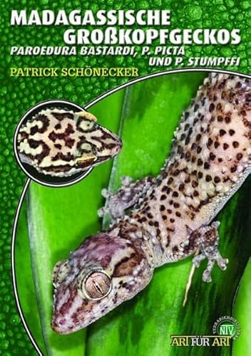 Stock image for Madagassische Grokopfgeckos: Paroedura Bastardi, P. Picta und P. Stumpffi. Art fr Art for sale by medimops