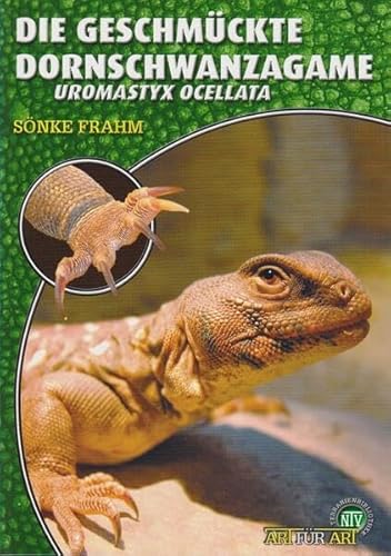 Imagen de archivo de Die Geschmckte Dornschwanzagame: Uromastyx Ocellata. Art fr Art a la venta por medimops