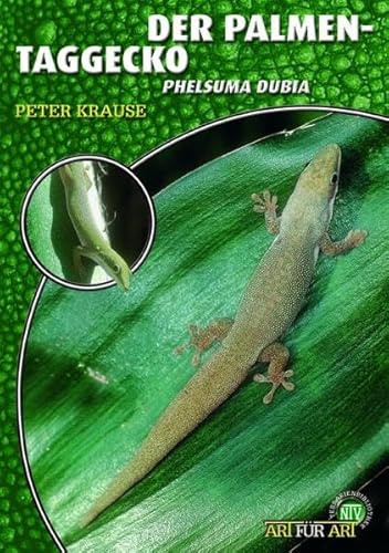 9783937285924: Der Palmen-Taggecko: Phelsuma dubia