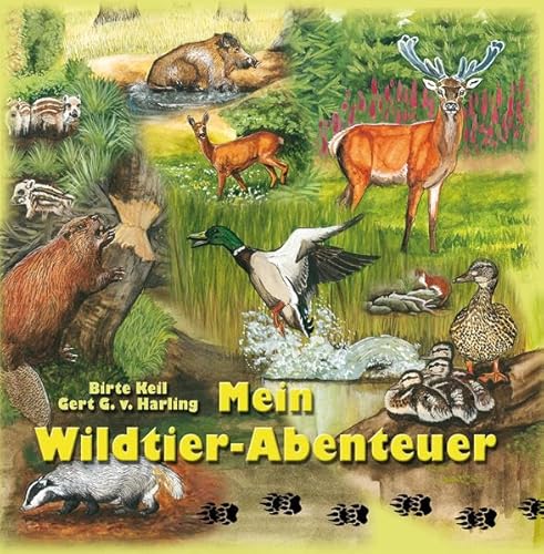 Beispielbild fr Mein Wildtier-Abenteuer zum Verkauf von medimops