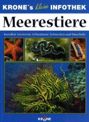 Beispielbild fr Im Reich der Meerestiere: Korallen, Seesterne, Schwmme, Schnecken und Muscheln zum Verkauf von medimops