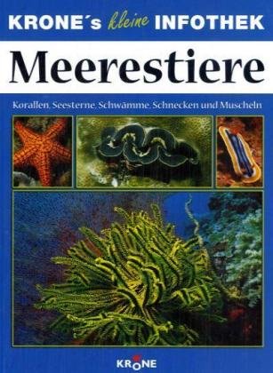 Im Reich der Meerestiere: Korallen, Seesterne, Schwämme, Schnecken und Muscheln - Dieter Krone