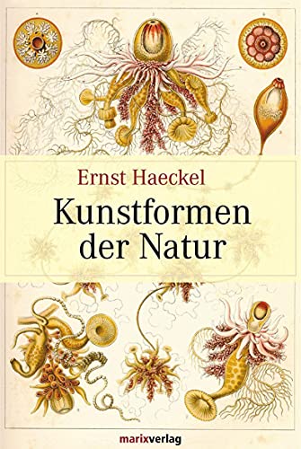 Beispielbild fr Kunstformen der Natur zum Verkauf von medimops