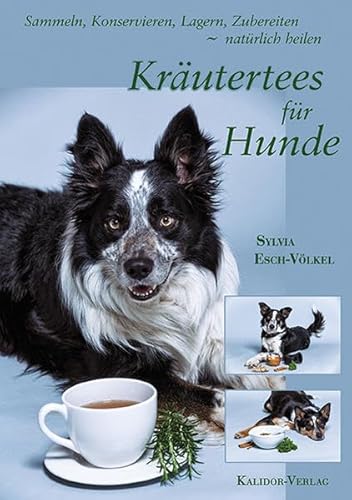 Imagen de archivo de Krutertees fr Hunde -Language: german a la venta por GreatBookPrices