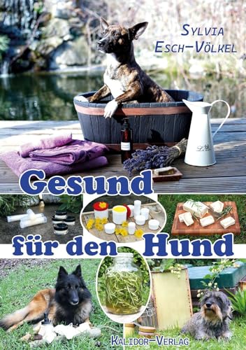 Beispielbild fr Gesund fr den Hund zum Verkauf von Blackwell's