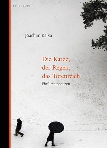 Die Katze, der Regen, das Totenreich: Ehrfurchtsnotizen - Kalka, Joachim