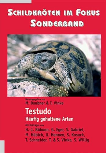 9783937855004: Schildkrten im Fokus - Sonderband: Testudo - Hufig gehaltene Arten