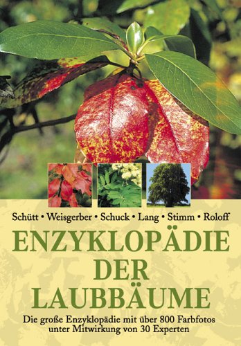 Beispielbild fr Enzyklopdie der Laubbume: Die groe Enzyklopdie. Die groe Enzyklopdie mit ber 800 Farbfotos unter Mitwirkung von 30 Experten zum Verkauf von Antiquariat Bernhardt