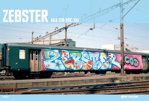 9783937946344: Zebster (On The Run Books)