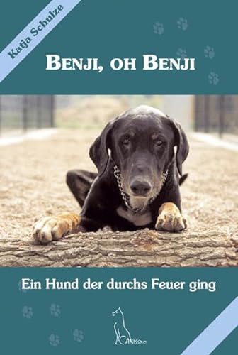 Stock image for Benji, oh Benji: Ein Hund, der durchs Feuer ging for sale by medimops