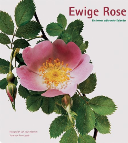 Beispielbild fr Ewige Rose: Ein immer whrender Kalender. zum Verkauf von Antiquariat Bernhardt