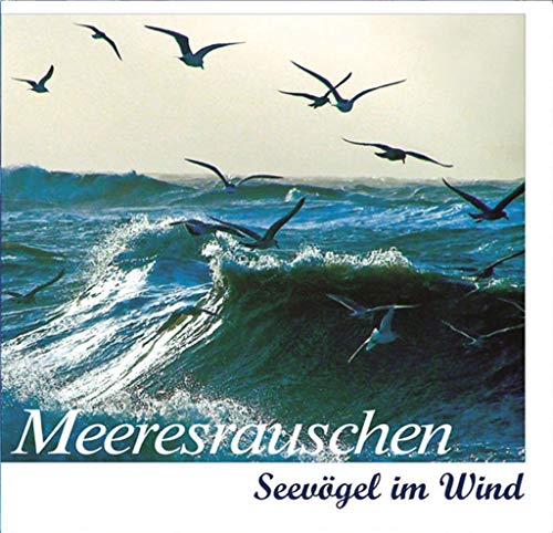 9783938147061: Meeresrauschen-Seevgel im Wind