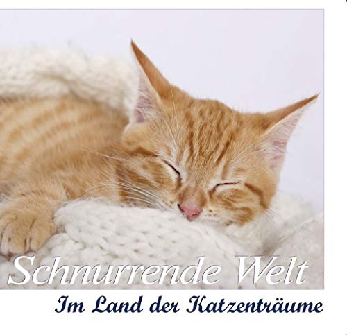 Beispielbild fr Schnurrende Welt - Im Land der Katzentrume: Im Land der Katzentrume - Mit Bubu, Susi & Co zum Verkauf von medimops