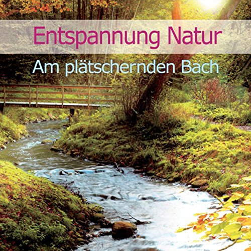 Beispielbild fr Entspannung Natur; Teil: Am pltschernden Bach zum Verkauf von Wanda Schwrer