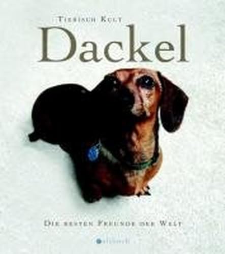 Beispielbild fr Christine Paxmann: Dackel zum Verkauf von Blackwell's