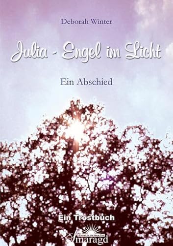 9783938489239: Julia - Engel im Licht: Ein Abschied