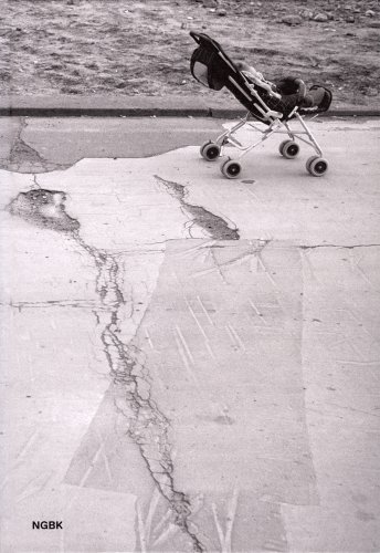 Imagen de archivo de Alfredo Jaar: The way it is. An Aesthetics of Resistance a la venta por Ystwyth Books