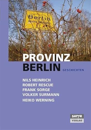 Stock image for Provinz Berlin. Geschichten for sale by medimops