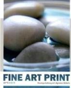 Beispielbild fr Fine Art Print: Raumgestaltung mit digitalen Bildern zum Verkauf von medimops