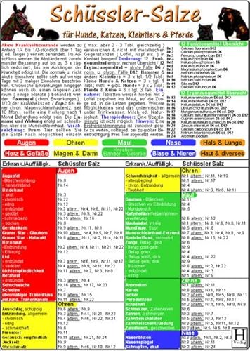 Beispielbild fr Schssler-Salze fr Hunde, Katzen, Kleintiere und Pferde. DIN A5 zum Verkauf von medimops