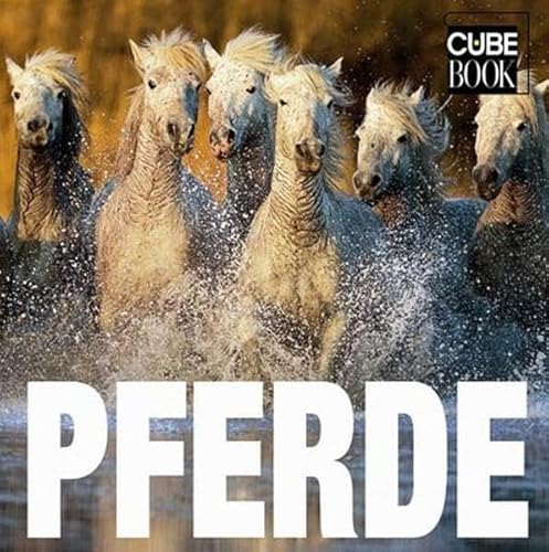 Beispielbild fr Pferde (Cube Books) zum Verkauf von medimops