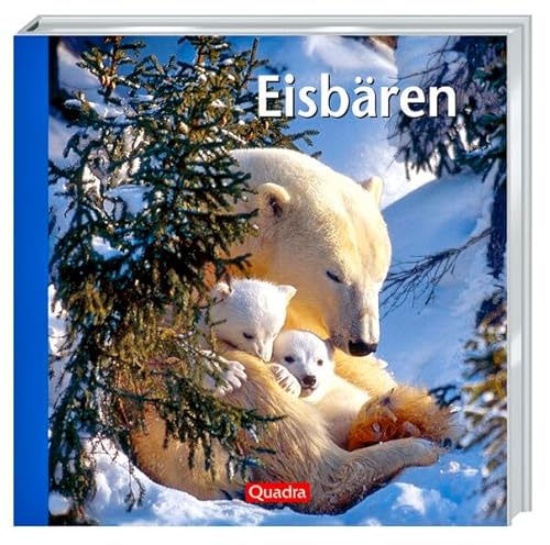Stock image for Eisbren for sale by medimops