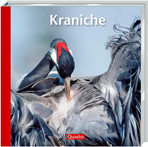 Kraniche: Die Vögel des Glücks sind Sinnbild des Vogelzugs. (= Edition Quadra). - Elsner, Hartmut (Text) und Willi Rolfes (Fotos)