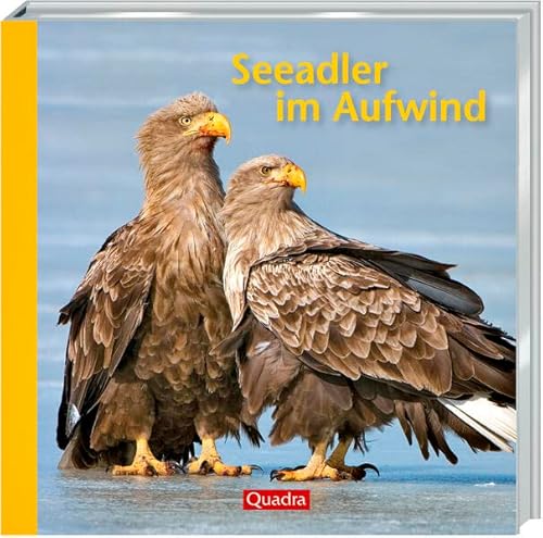 Imagen de archivo de Seeadler im Aufwind a la venta por medimops