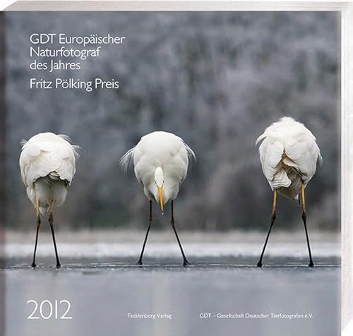 Imagen de archivo de Europischer Naturfotograf des Jahres 2012 und Fritz Plking Preis 2012 a la venta por medimops