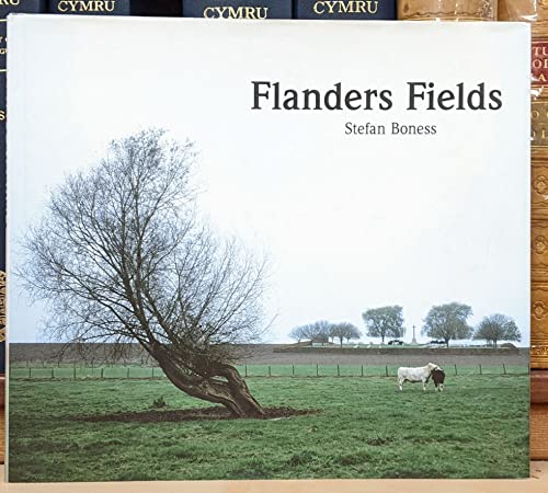 9783939181156: Stefan Boness: Flanders Fields