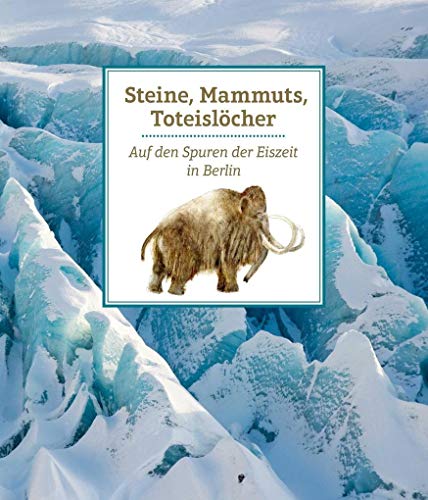 Beispielbild fr Steine, Mammuts, Toteislcher: Auf den Spuren der Eiszeit in Berlin (Edition Stadtmuseum) zum Verkauf von medimops