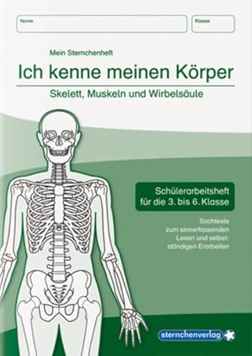 Stock image for Ich kenne meinen Krper - Skelett, Muskeln und Wirbelsule -Language: german for sale by GreatBookPrices