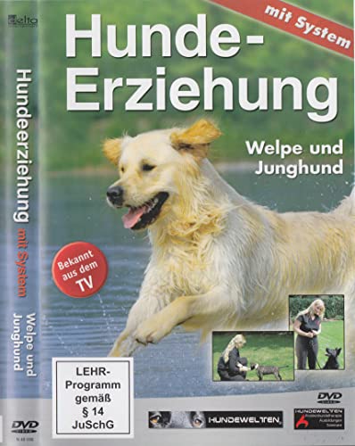 9783939451280: Hundeerziehung mit System: Welpe und Junghund [Alemania] [DVD]