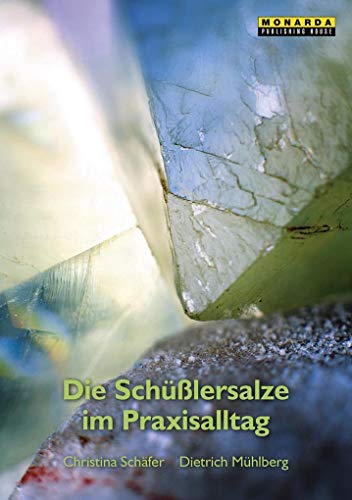 Imagen de archivo de Die Schsslersalze im Praxisalltag a la venta por medimops
