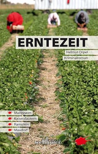 Imagen de archivo de Erntezeit a la venta por Gabis Bcherlager