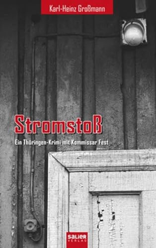 Beispielbild fr Stromsto: Ein Thringen-Krimi mit Kommissar Fest zum Verkauf von medimops
