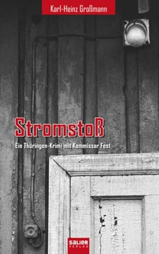 Stock image for Stromsto: Ein Thringen-Krimi mit Kommissar Fest for sale by medimops