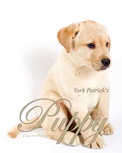 Puppy - Fine Art Photography (9783939743071) by Patrick, York; Div.