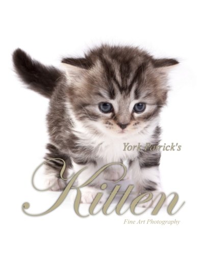 Kitten - Fine Art Photography (9783939743927) by Patrick, York