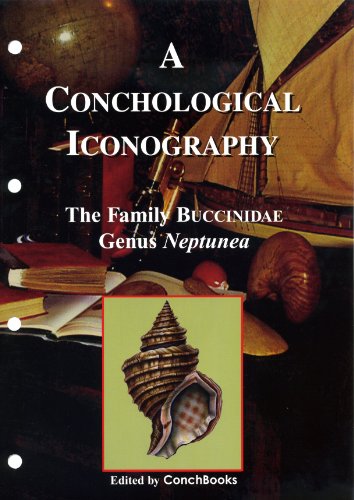 9783939767039: A Conchological Iconography. The Family Buccinidae - The Genus Neptunea [Loseblattausgabe]