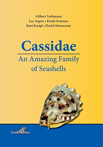 Beispielbild fr Cassidae: An Amazing Family of Seashells zum Verkauf von ThriftBooks-Atlanta