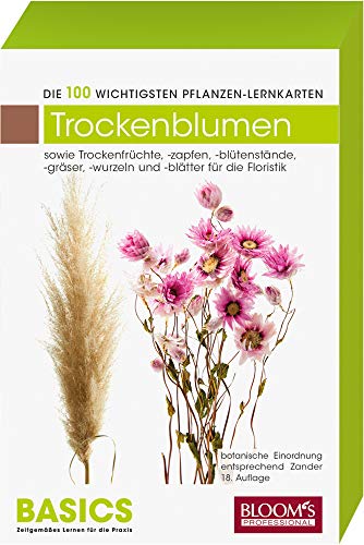 Stock image for Pflanzen-Lernkarten: Die 100 wichtigsten Trockenfloralien/Frchte: 100 Lernkarten mit Lernkartenbox for sale by medimops