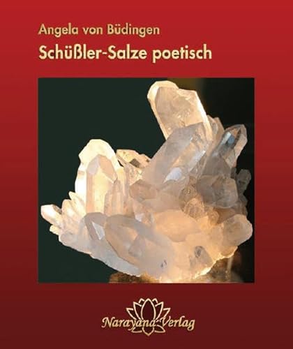 Stock image for Schler-Salze poetisch for sale by medimops