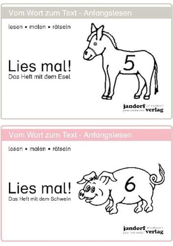 9783939965251: Lies mal! Hefte 5 und 6: Vom Wort zum Text - Anfangslesen