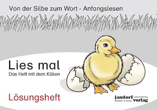 Stock image for Lies mal - Das Heft mit dem Kken: Lsungsheft for sale by Revaluation Books