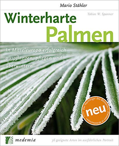Winterharte Palmen - Mario, Stähler und Spanner Tobias W.
