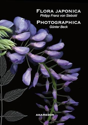 Beispielbild fr Philipp Franz von Siebold: Flora japonica / Gnter Beck: Flora photographica (Kataloge aus dem Wrzburger Sieboldmuseum) zum Verkauf von medimops