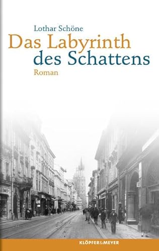 Stock image for Das Labyrinth des Schattens for sale by medimops