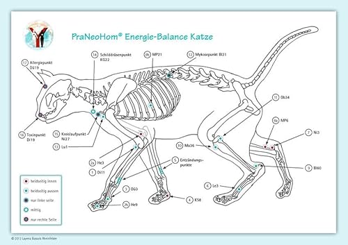 Akupunktur-Tafel Katze: PraNeoHom® Energiebalance durch Heilen mit Zeichen - Bassols Rheinfelder, Layena